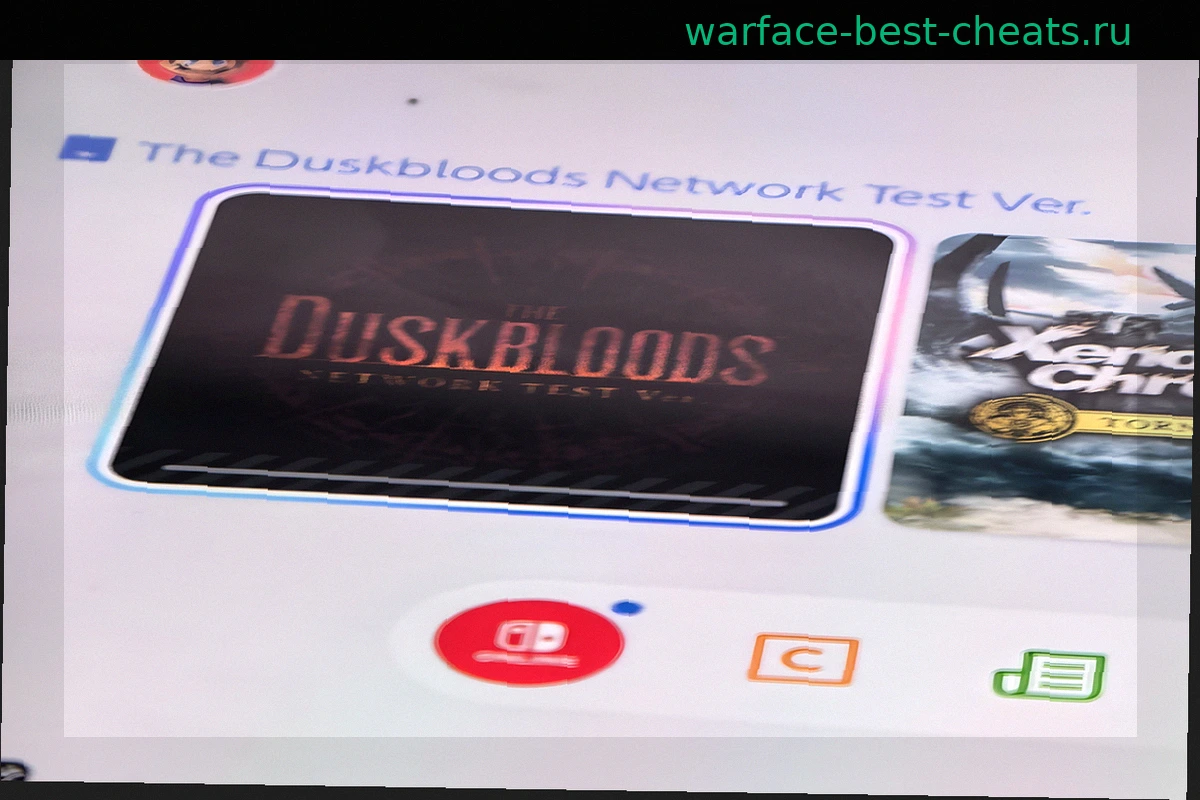 Началось закрытое тестирование The Duskbloods на Nintendo Switch 2
